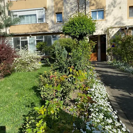 Maria3 * Timisoara